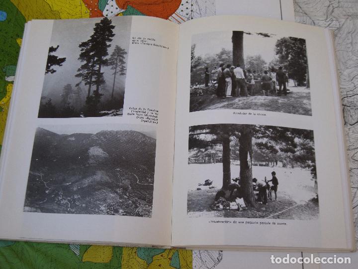 Libros de segunda mano: ESTUDIOS BASICOS PARA UNA ORDENACION INTEGRAL MONTES DE : CERCEDILLA Y NAVACERRADA (MADRID ) - Foto 6