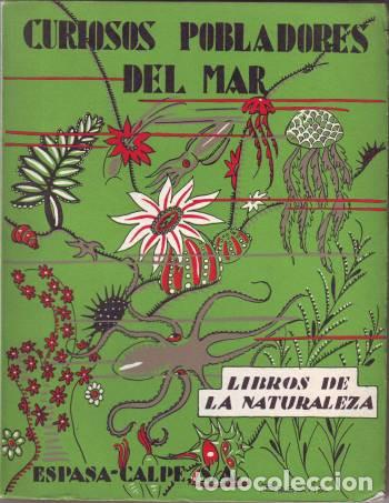 Libros de segunda mano: RIOJA, Enrique: CURIOSOS POBLADORES DEL MAR - Foto 1