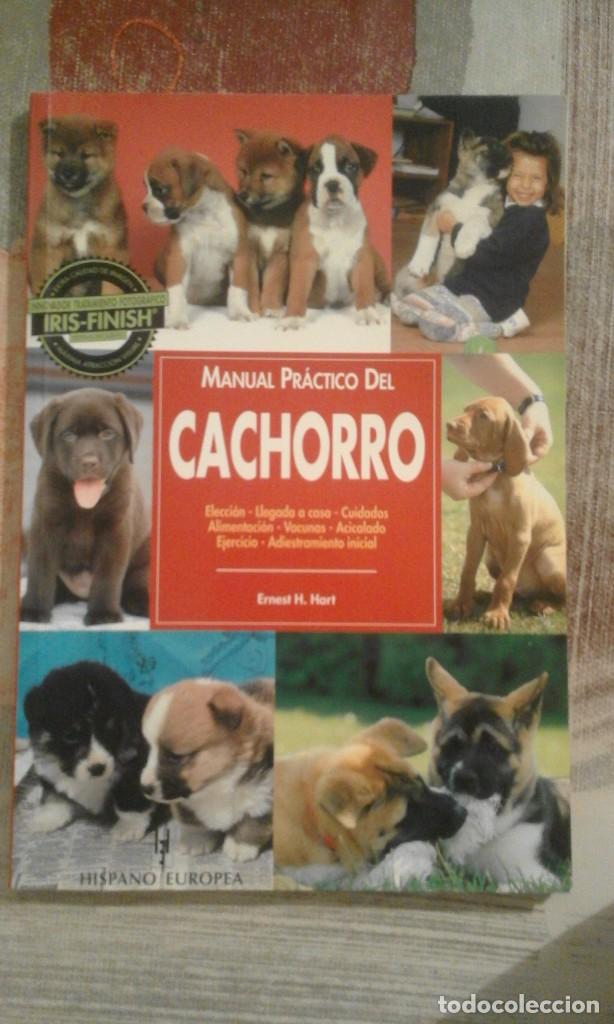 Libros de segunda mano: Manual pr&aacute;ctico del cachorro - Ernest H. Hart - Foto 1