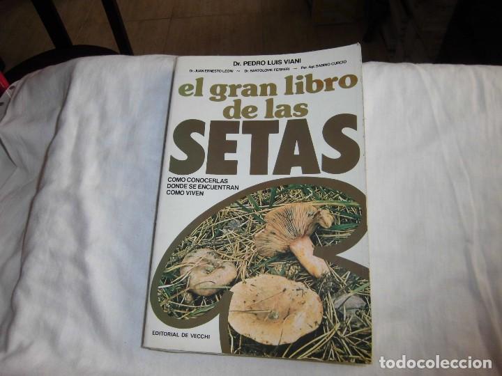 Libros de segunda mano: EL GRAN LIBRO DE LA SETAS COMO CONOCERLAS .PEDRO LUIS VIANI.EDITORIAL DE VECCHI  1982 - Foto 1