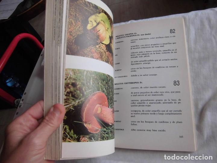 Libros de segunda mano: EL GRAN LIBRO DE LA SETAS COMO CONOCERLAS .PEDRO LUIS VIANI.EDITORIAL DE VECCHI  1982 - Foto 4
