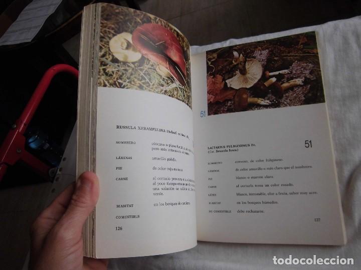 Libros de segunda mano: EL GRAN LIBRO DE LA SETAS COMO CONOCERLAS .PEDRO LUIS VIANI.EDITORIAL DE VECCHI  1982 - Foto 5