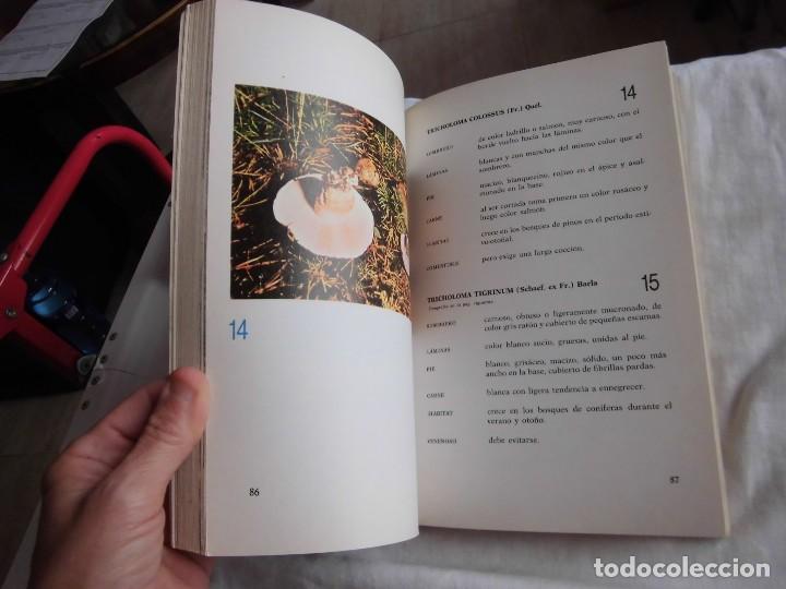 Libros de segunda mano: EL GRAN LIBRO DE LA SETAS COMO CONOCERLAS .PEDRO LUIS VIANI.EDITORIAL DE VECCHI  1982 - Foto 6