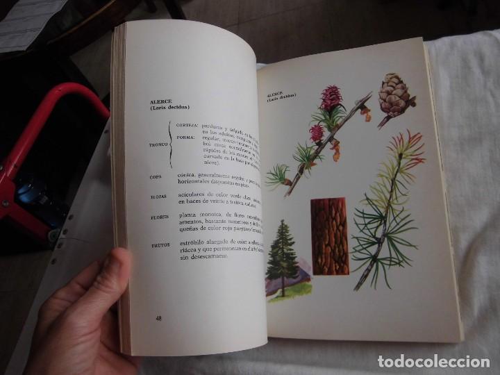 Libros de segunda mano: EL GRAN LIBRO DE LA SETAS COMO CONOCERLAS .PEDRO LUIS VIANI.EDITORIAL DE VECCHI  1982 - Foto 7