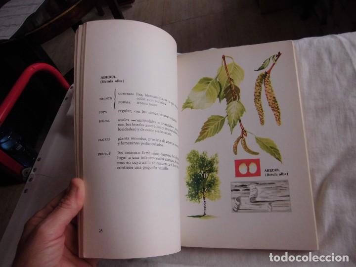 Libros de segunda mano: EL GRAN LIBRO DE LA SETAS COMO CONOCERLAS .PEDRO LUIS VIANI.EDITORIAL DE VECCHI  1982 - Foto 8