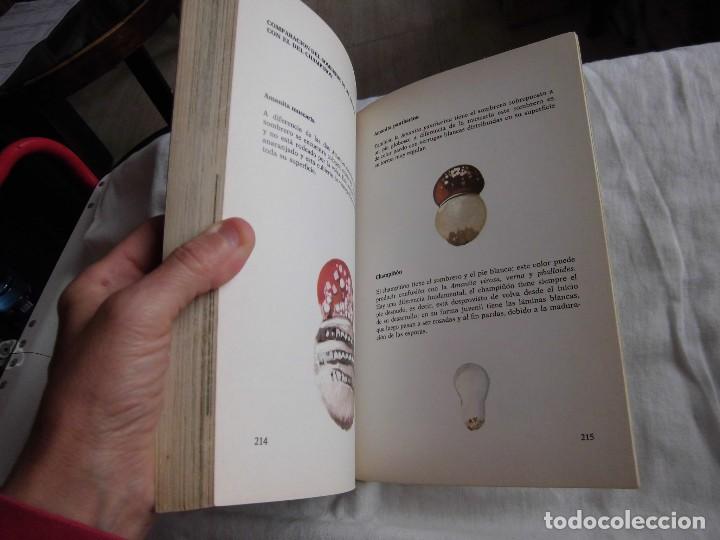 Libros de segunda mano: EL GRAN LIBRO DE LA SETAS COMO CONOCERLAS .PEDRO LUIS VIANI.EDITORIAL DE VECCHI  1982 - Foto 9