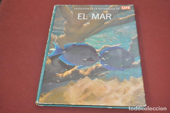 Libros de segunda mano: El mar coleccion de la naturaleza de Life - FFB - Foto 1