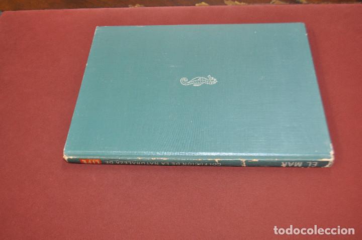 Libros de segunda mano: El mar coleccion de la naturaleza de Life - FFB - Foto 3