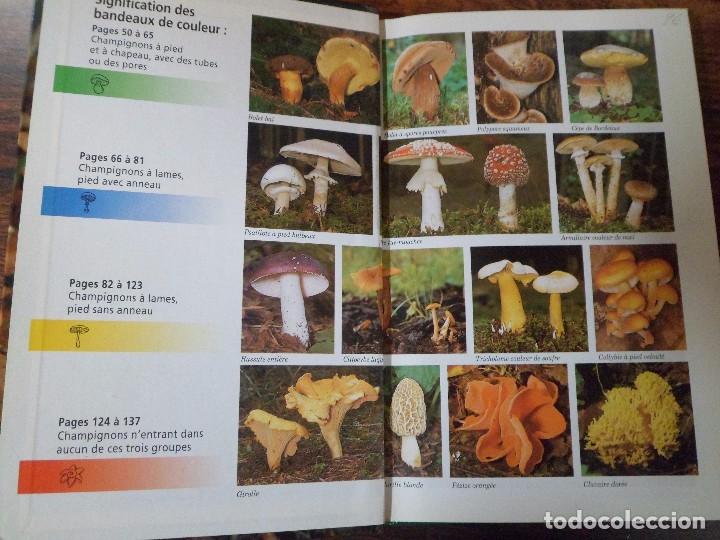 Libros de segunda mano: LES CHAMPIGNONS. EDMUND GARNWEIDNER, GU&Iacute;A DE SETAS. TEXTO EN FRANCES - Foto 2