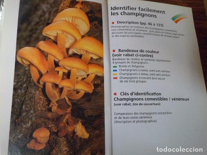 Libros de segunda mano: LES CHAMPIGNONS. EDMUND GARNWEIDNER, GU&Iacute;A DE SETAS. TEXTO EN FRANCES - Foto 3