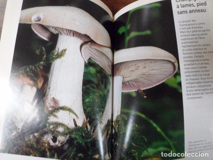 Libros de segunda mano: LES CHAMPIGNONS. EDMUND GARNWEIDNER, GU&Iacute;A DE SETAS. TEXTO EN FRANCES - Foto 4