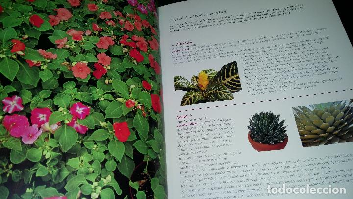 Libros de segunda mano: El gran libro de la Jardineria - Foto 3