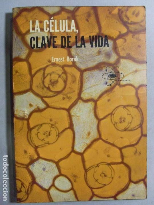 Libros de segunda mano: LA C&Eacute;LULA, CLAVE DE LA VIDA / Ernest Borek / 1966 - Foto 1