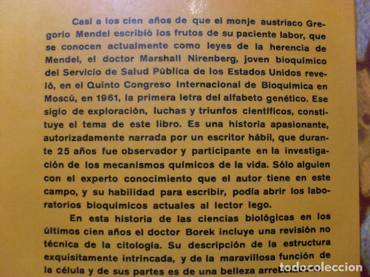 Libros de segunda mano: LA C&Eacute;LULA, CLAVE DE LA VIDA / Ernest Borek / 1966 - Foto 3
