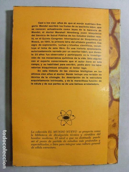Libros de segunda mano: LA C&Eacute;LULA, CLAVE DE LA VIDA / Ernest Borek / 1966 - Foto 4