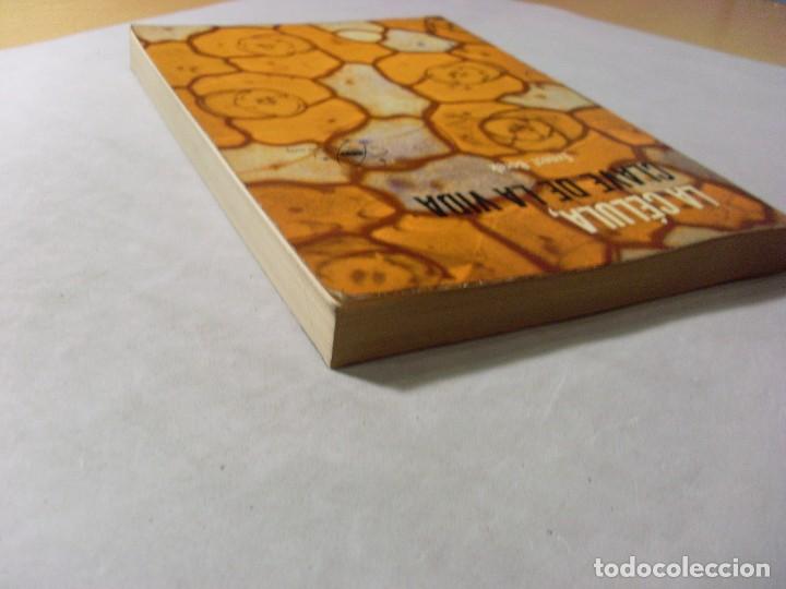 Libros de segunda mano: LA C&Eacute;LULA, CLAVE DE LA VIDA / Ernest Borek / 1966 - Foto 5