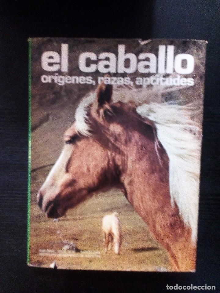 Libros de segunda mano: EL CABALLO.  OR&Iacute;GENES RAZAS Y APTITUDES  NEREO LUGLI   ED. TEIDE - Foto 1