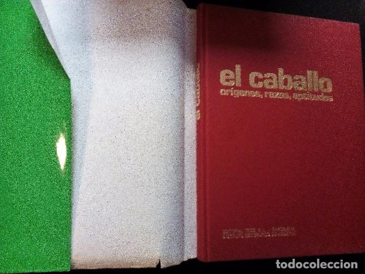 Libros de segunda mano: EL CABALLO.  OR&Iacute;GENES RAZAS Y APTITUDES  NEREO LUGLI   ED. TEIDE - Foto 2