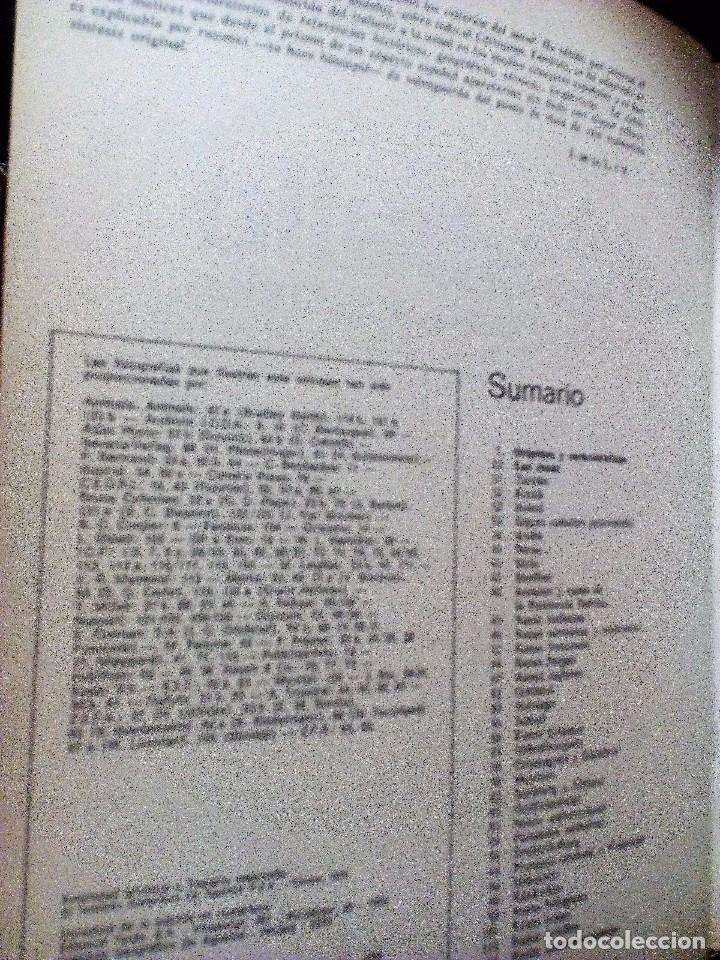 Libros de segunda mano: EL CABALLO.  OR&Iacute;GENES RAZAS Y APTITUDES  NEREO LUGLI   ED. TEIDE - Foto 4