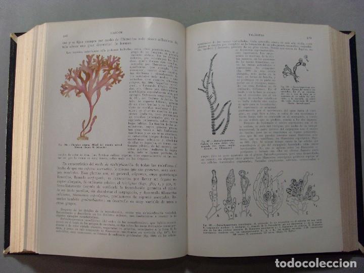 Libros de segunda mano: TRATADO DE BOT&Aacute;NICA / Eduardo Strasburger / 1943 - Foto 3