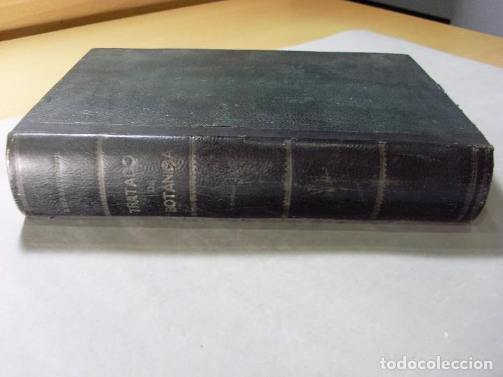 Libros de segunda mano: TRATADO DE BOT&Aacute;NICA / Eduardo Strasburger / 1943 - Foto 4