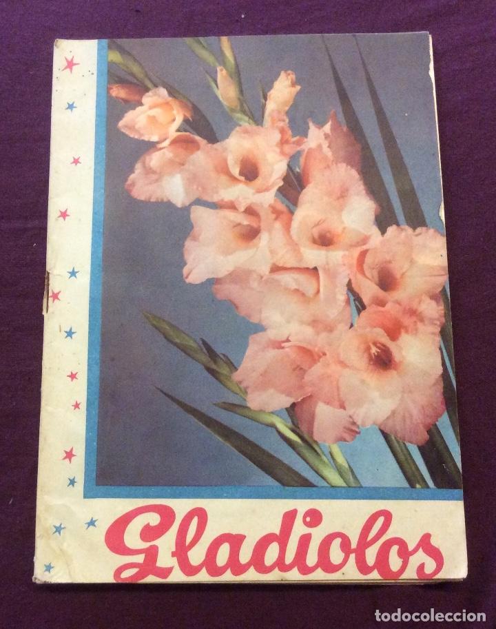 Libros de segunda mano: GLADIOLOS. FOLLETO N-25. - Foto 1