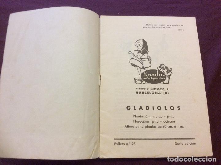 Libros de segunda mano: GLADIOLOS. FOLLETO N-25. - Foto 2