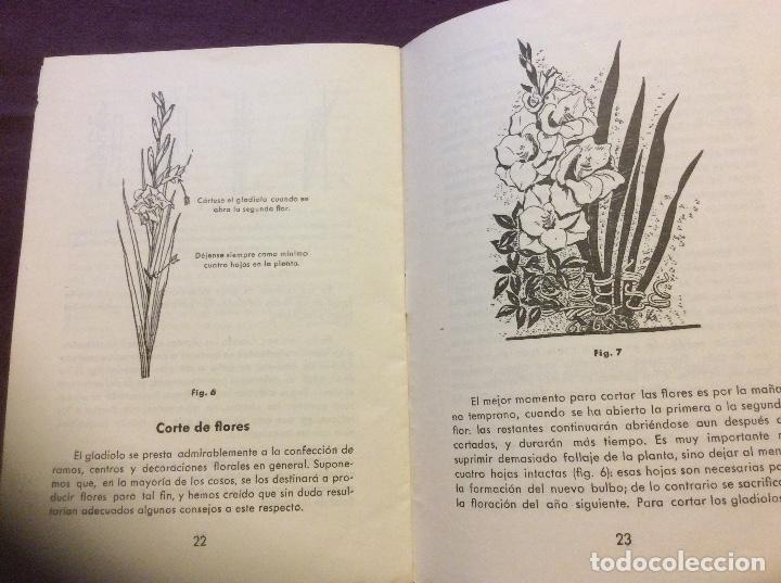 Libros de segunda mano: GLADIOLOS. FOLLETO N-25. - Foto 3