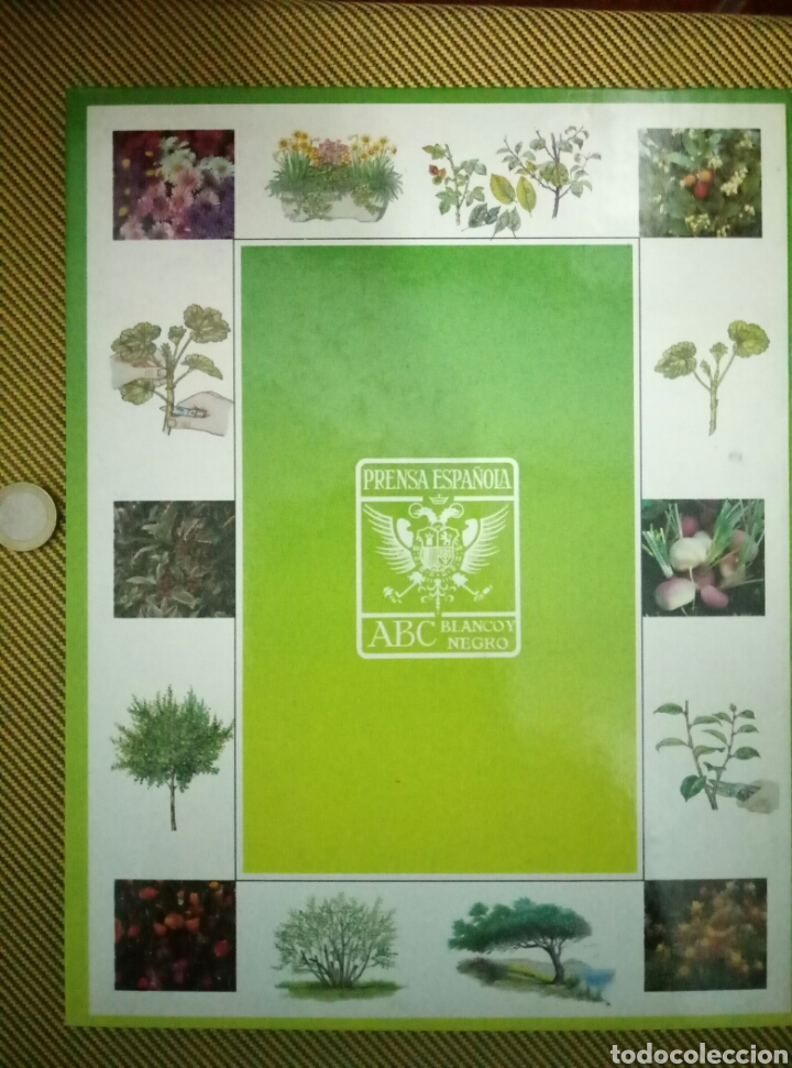 Libros de segunda mano: Libro el libro de oro de las plantas y los jardines Ed. ABC&nbsp; - Foto 2