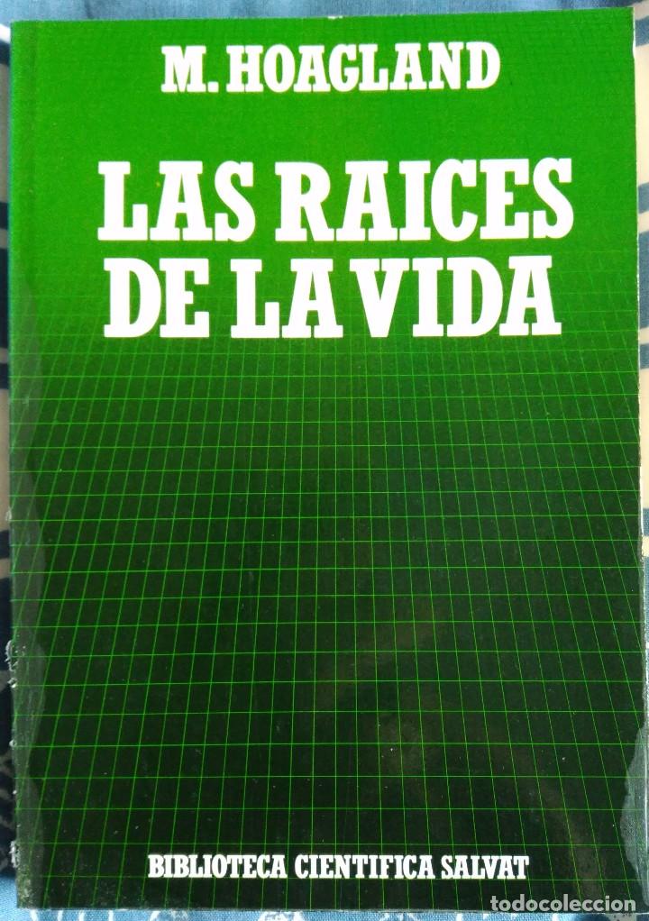 Libros de segunda mano: M. Hoagland . Las ra&iacute;ces de la vida. Genes, c&eacute;lulas y evoluci&oacute;n - Foto 1