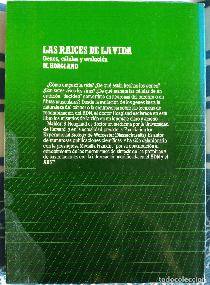 Libros de segunda mano: M. Hoagland . Las ra&iacute;ces de la vida. Genes, c&eacute;lulas y evoluci&oacute;n - Foto 2