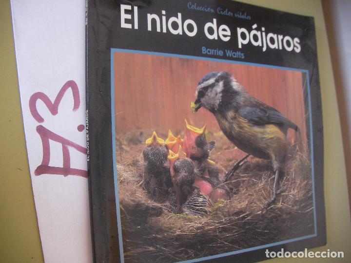 Libros de segunda mano: EL NIDO DE PAJAROS - BARRIE WATTS - Foto 1