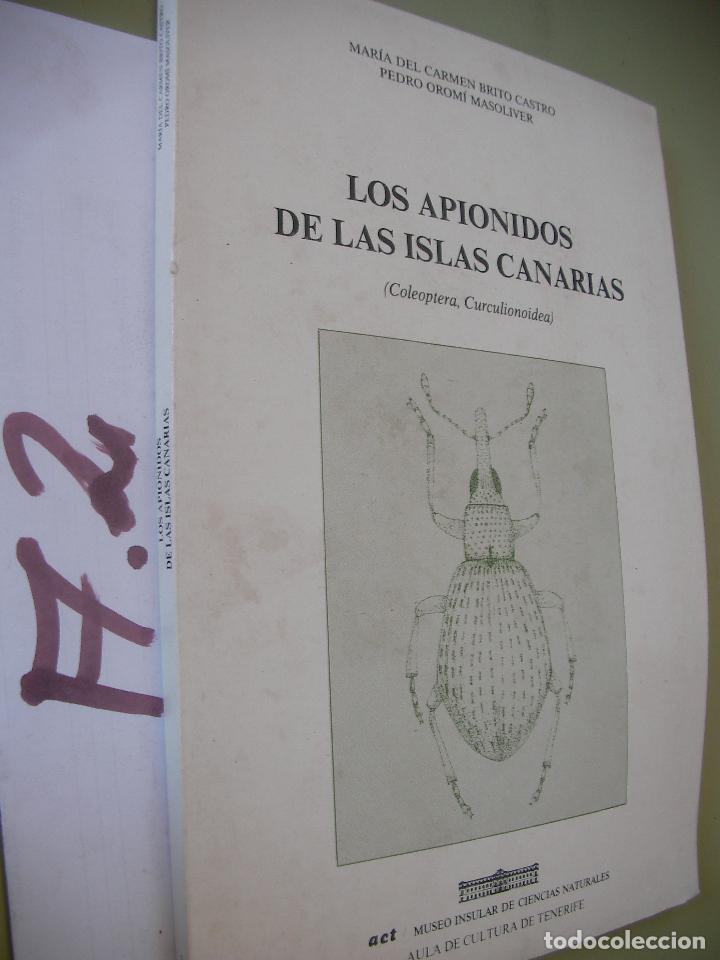 Libros de segunda mano: LOS APIONIDOS DE LAS ISLAS CANARIAS - Foto 1
