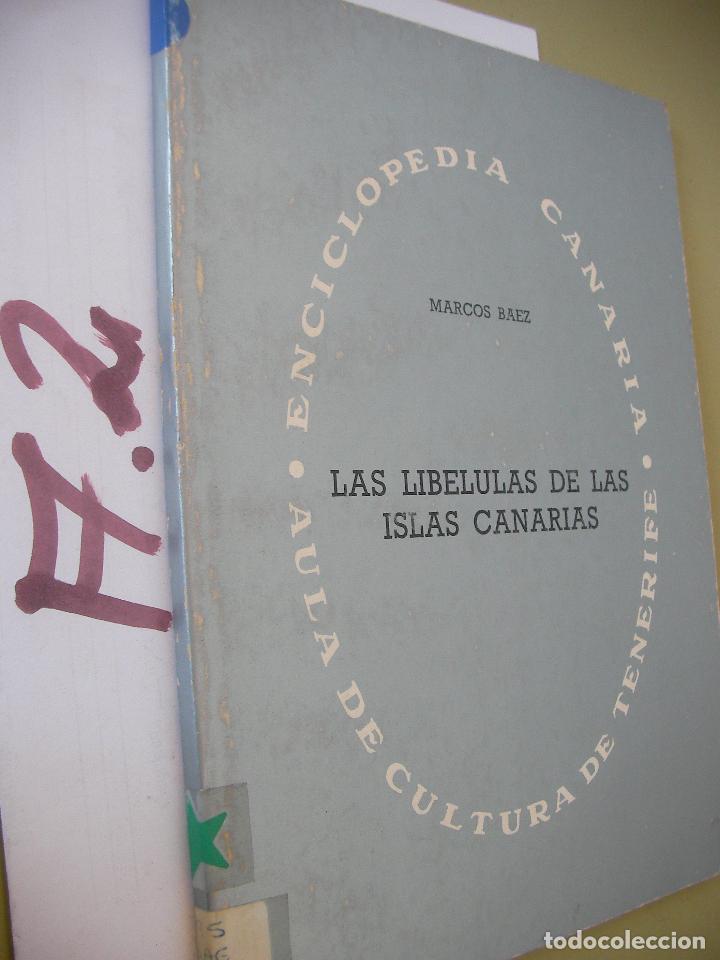 Libros de segunda mano: LAS LIBELULAS DE LAS ISLAS CANARIAS - Foto 1