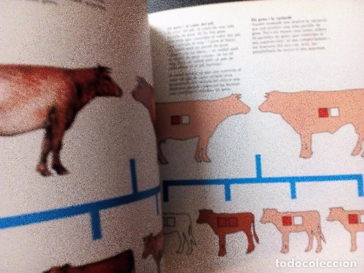 Libros de segunda mano: L&acute;ORIGEN DE LES ESPECIES   DIPUTACI&Oacute; DE BARCELONA,  1982 - Foto 3