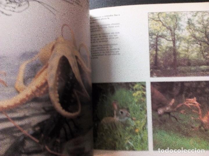 Libros de segunda mano: L&acute;ORIGEN DE LES ESPECIES   DIPUTACI&Oacute; DE BARCELONA,  1982 - Foto 4