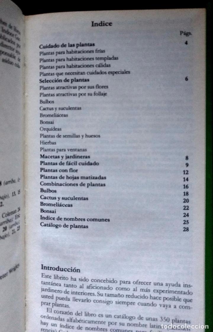 Libros de segunda mano: GU&Iacute;A DE LAS PLANTAS DE INTERIOR | GEORGE SEDDON | FOLIO 1981 - Foto 3