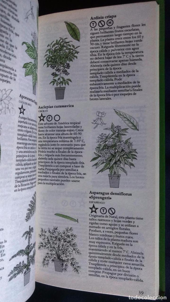 Libros de segunda mano: GU&Iacute;A DE LAS PLANTAS DE INTERIOR | GEORGE SEDDON | FOLIO 1981 - Foto 4