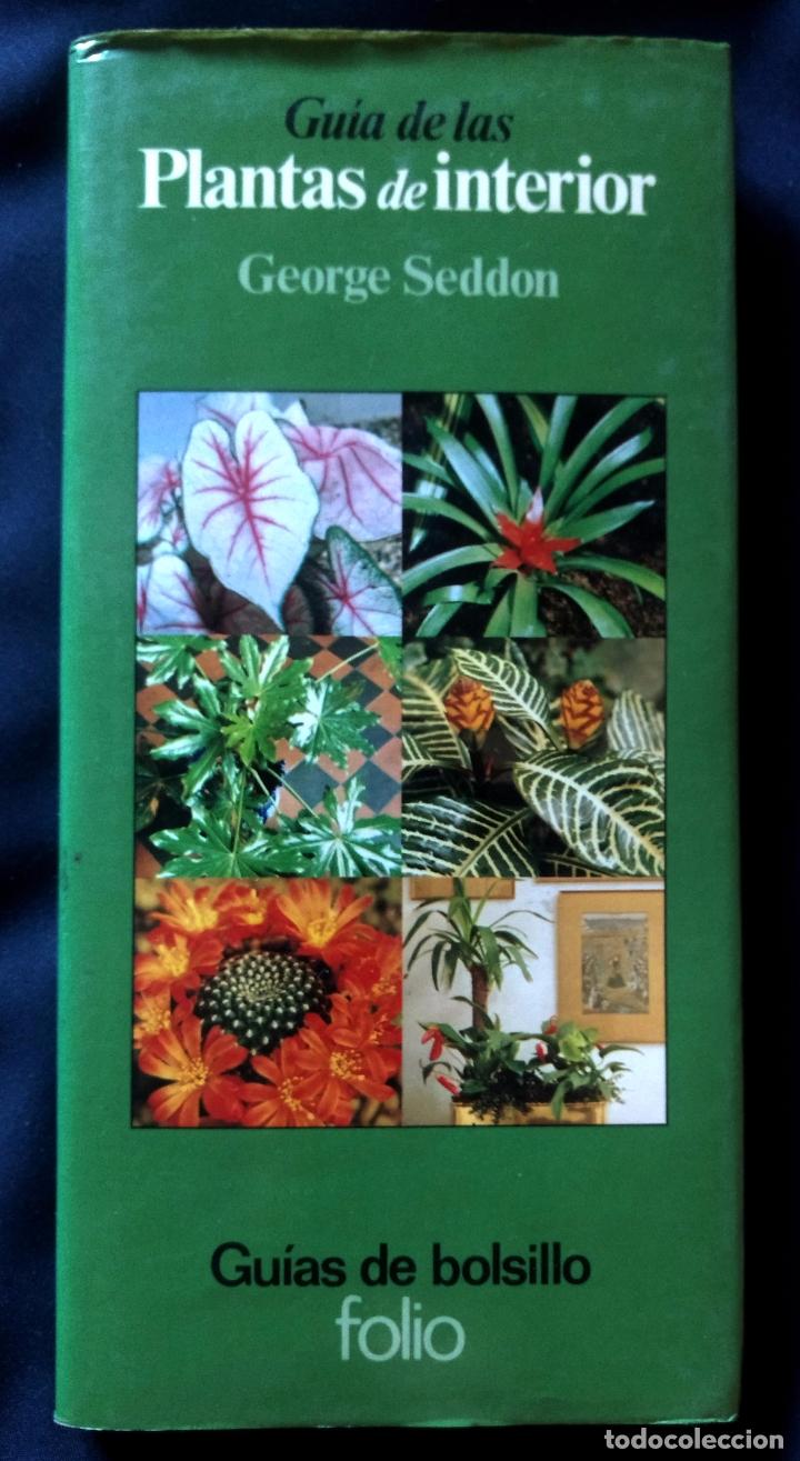 Libros de segunda mano: GU&Iacute;A DE LAS PLANTAS DE INTERIOR | GEORGE SEDDON | FOLIO 1981 - Foto 6