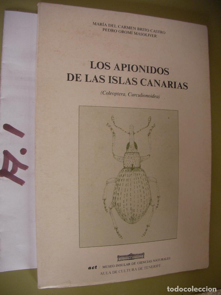 Libros de segunda mano: LOS APIONIDOS DE LAS ISLAS CANARIAS - Foto 1