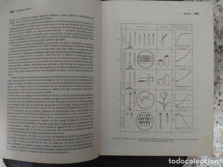 Fisiologia Vegetal, Juan Barcelo Coll, Edicione - Comprar Libros De ...