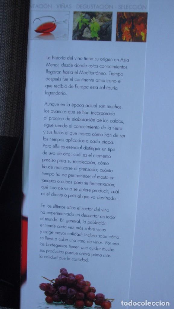 Libros de segunda mano: VINO. GU&Iacute;A PR&Aacute;CTICA. CONCHA BAEZA - Foto 2
