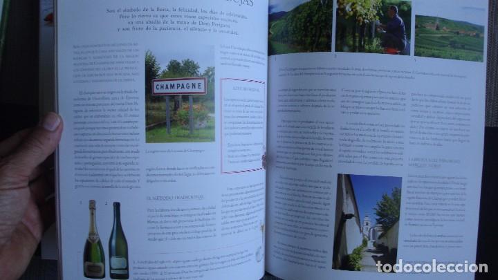 Libros de segunda mano: VINO. GU&Iacute;A PR&Aacute;CTICA. CONCHA BAEZA - Foto 5