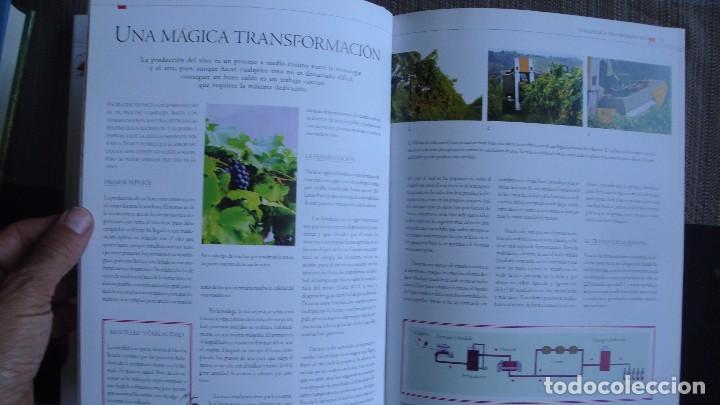 Libros de segunda mano: VINO. GU&Iacute;A PR&Aacute;CTICA. CONCHA BAEZA - Foto 6