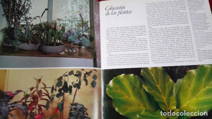 Libros de segunda mano: Flores y plantas en casa - Foto 2