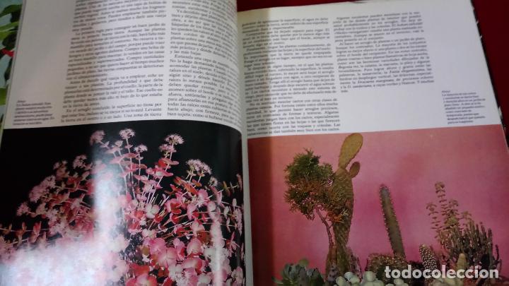 Libros de segunda mano: Flores y plantas en casa - Foto 3