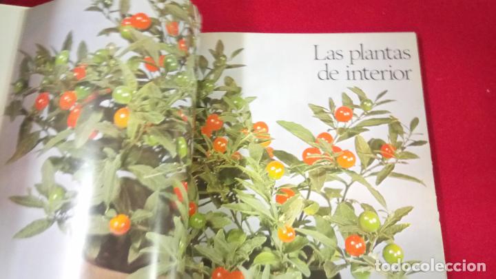 Libros de segunda mano: Flores y plantas en casa - Foto 4