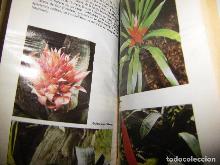 Libros de segunda mano: Lote de libros de jardiner&iacute;a y plantas - Foto 8