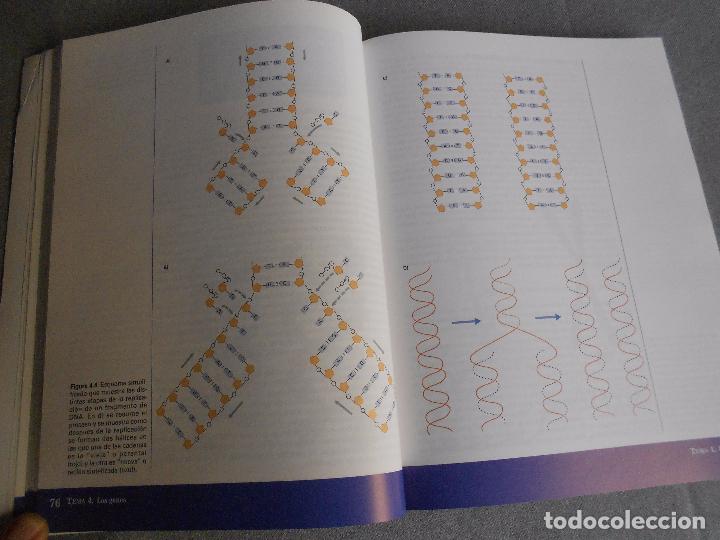 Libros de segunda mano: BIOLOGIA. CURSO DE INTRODUCCION - Foto 3