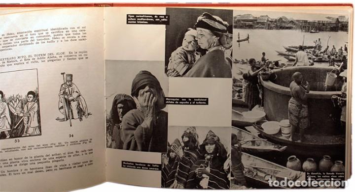 Libros de segunda mano: LIBRO, LAS RAZAS DEL MUNDO. Augusto Panyella - Foto 2